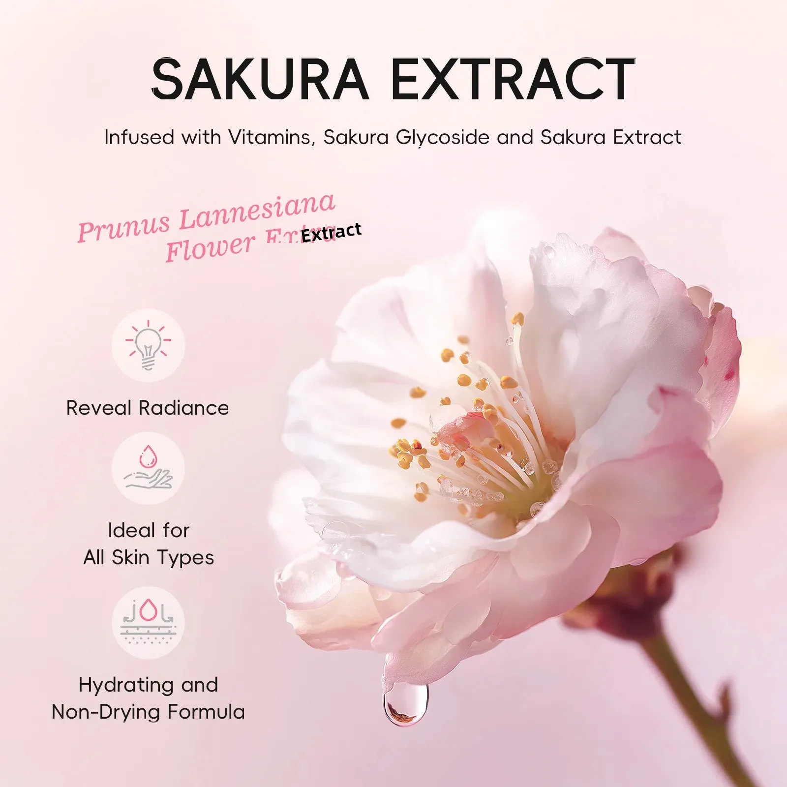 Japan Sakura Roll On Deodorant - Pure Perfume Fragrance recensie en prijs