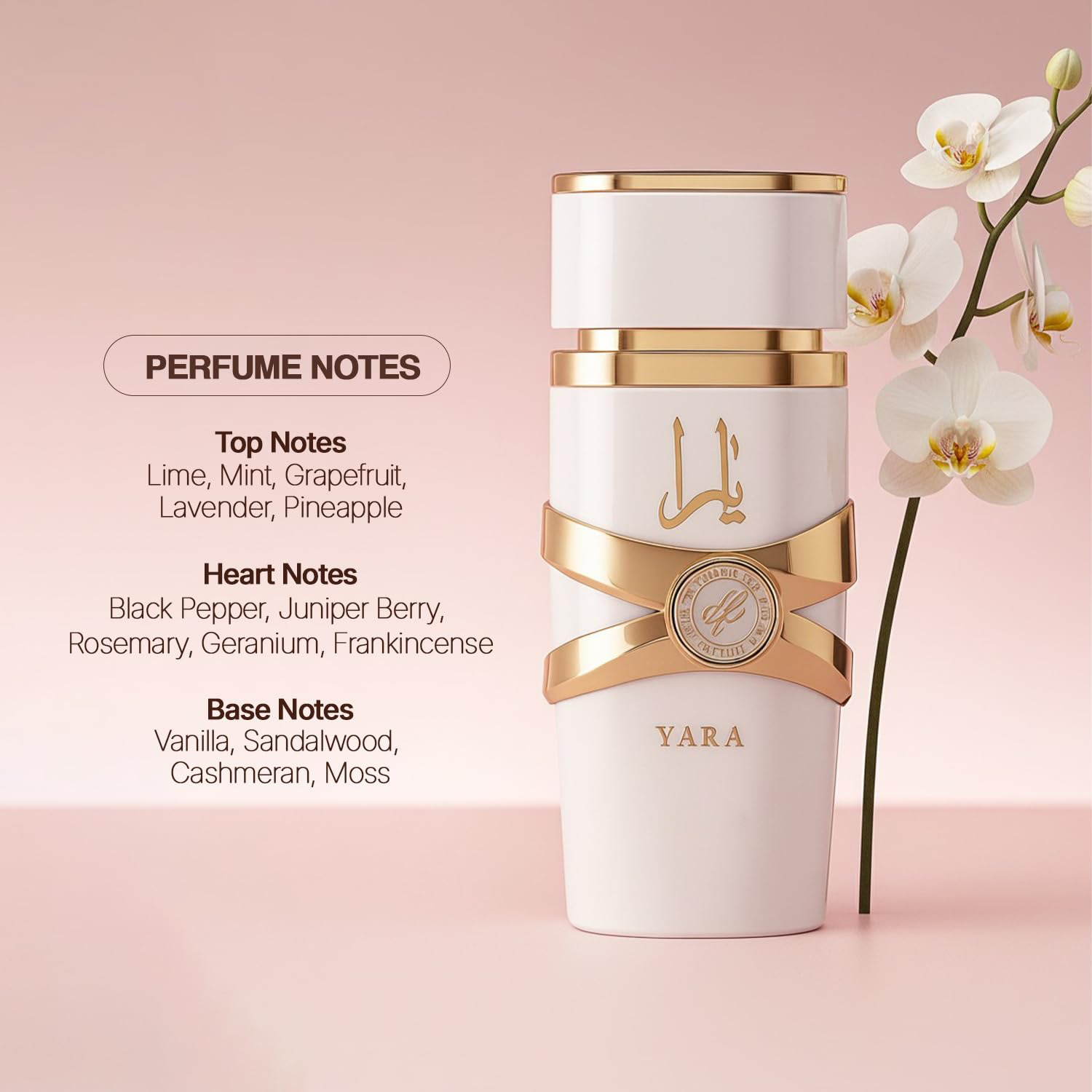 Yara Moi - 3.4 oz Bloemig, Fru - Yara Perfume Fragrance recensie en prijs